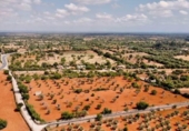 Terreno no urbanizable en venta en la España, Llucmajor, ref: TR313058 foto