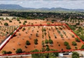 Terreno no urbanizable en venta en la España, Llucmajor, ref: TR313058 foto