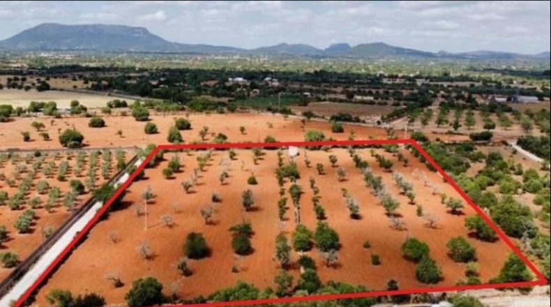 Islas Baleares - Lluchmayor - 17m2
