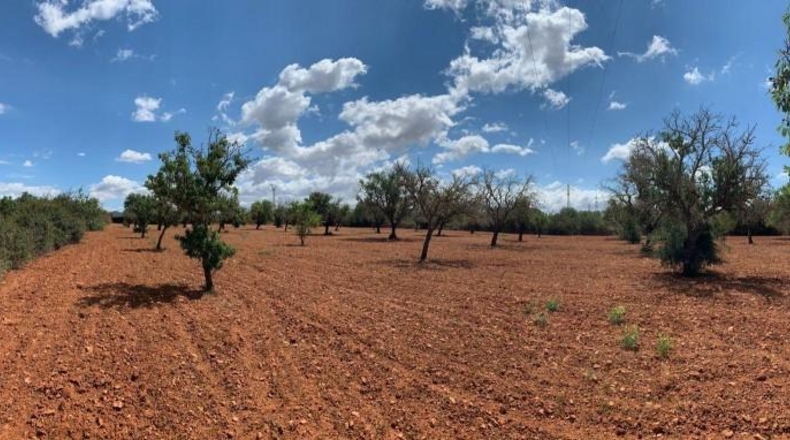 Islas Baleares - Lluchmayor - 17m2