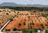 Terreno no urbanizable en venta en la España, Llucmajor, ref: TR313058 foto