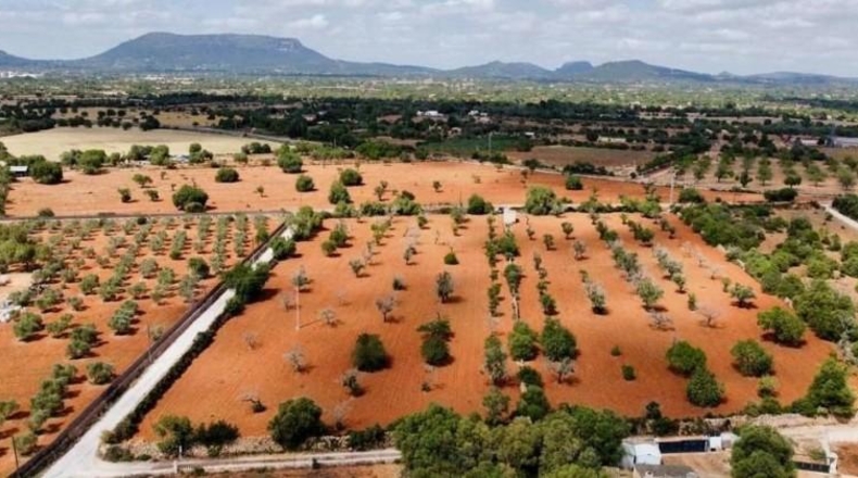 Islas Baleares - Lluchmayor - 17m2
