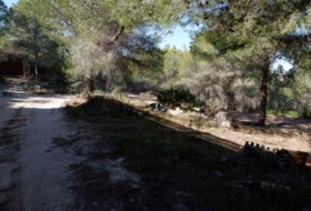 Foto 11