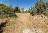 Sòl urbà en venda a la España, Albolote, ref.: TR385474 foto