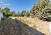 Sòl urbà en venda a la España, Albolote, ref.: TR385474 foto