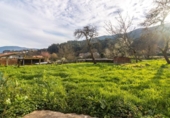 Finca rústica en venda a la España, Cardiña, ref.: TR321184 foto