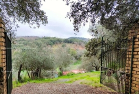 Aracena 8256&nbsp;m²