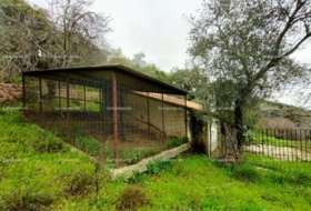 Aracena 8256&nbsp;m²