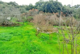Aracena 8256&nbsp;m²