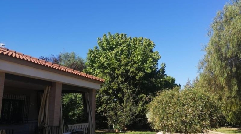 Córdoba - Almodóvar del Río - 3000m2