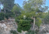 Suelo urbano en venta en la España, Sitges, ref: TR222844 foto