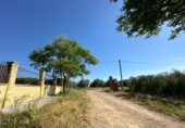 Finca rústica en venta en la España, La Carlota, ref: TR293365 foto