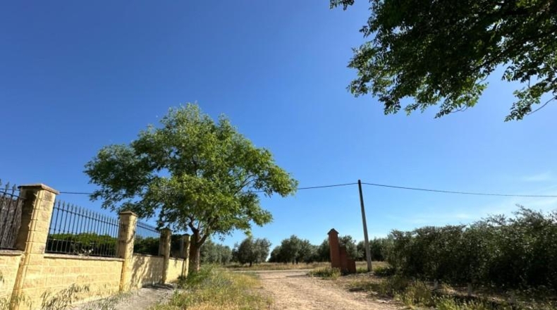 Cordova - La Carlota - 3500m2