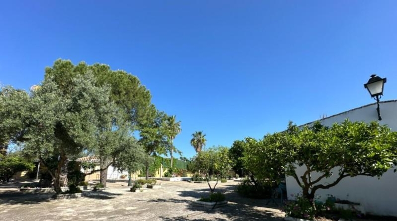 Cordova - La Carlota - 3500m2