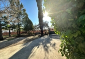 Casa de camp amb terreny en venda a la España, Encinarejo de Córdoba, ref.: TR142868 foto