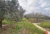 Casa de camp amb terreny en venda a la España, La Carlota, ref.: TR146318 foto