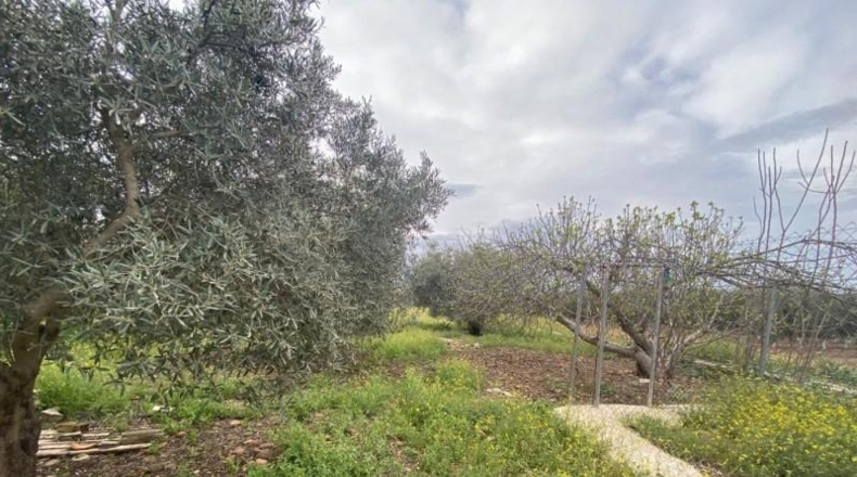 Córdoba - La Carlota - 3500m2