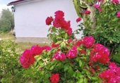 Chalet independiente con terreno en venta en la España, Cantillana, ref: TR139981 foto