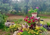 Chalet independiente con terreno en venta en la España, Cantillana, ref: TR139981 foto