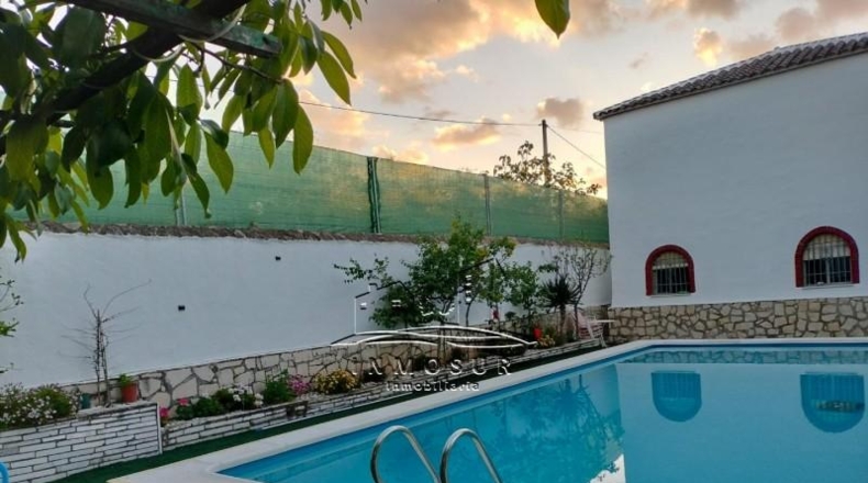Córdoba - Lucena - 800m2