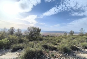 Yecla 510000&nbsp;m²