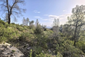 Yecla 510000&nbsp;m²