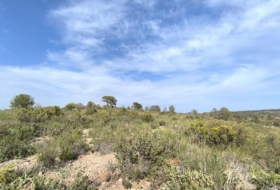 Yecla 510000&nbsp;m²
