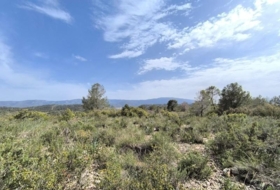 Yecla 510000&nbsp;m²