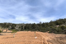 Yecla 510000&nbsp;m²