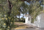 Casa de campo con terreno en venta en la España, Molina de Segura, ref: TR402583 foto
