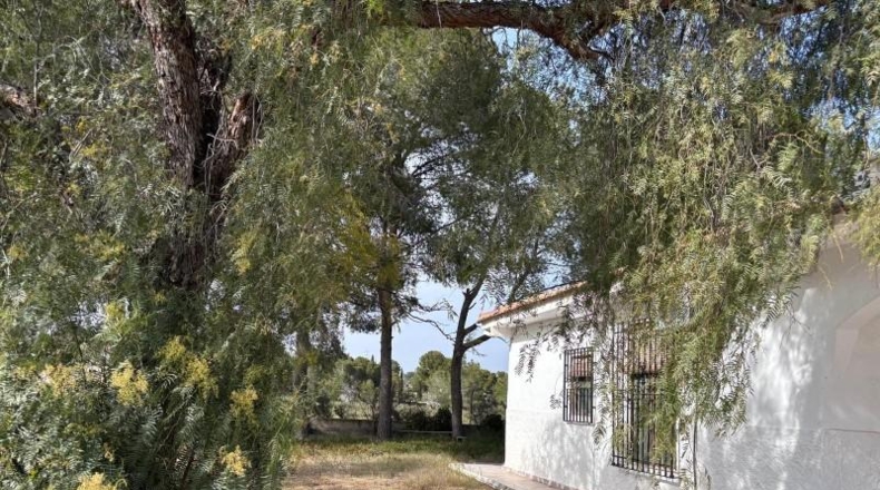 Murcia - Molina de Segura - 182m2