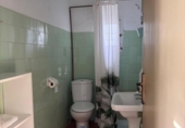 Casa de campo con terreno en venta en la España, Molina de Segura, ref: TR402583 foto