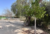 Casa de campo con terreno en venta en la España, Molina de Segura, ref: TR402583 foto