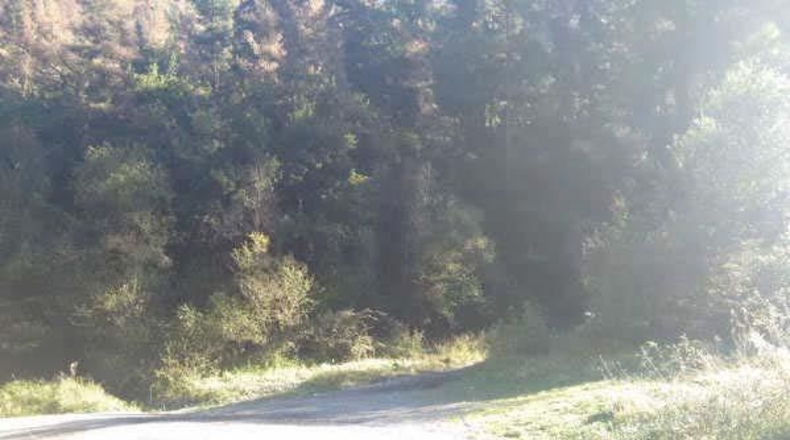 Gipuzkoa - Elgueta - 2m2