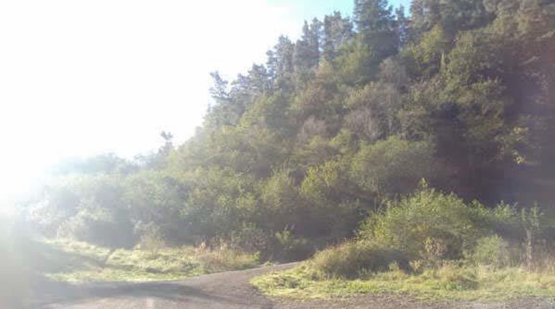 Gipuzkoa - Elgueta - 2m2