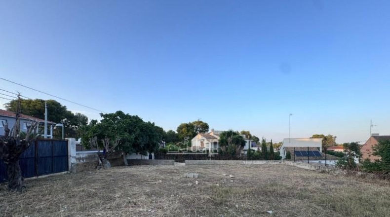 Cádiz - Paterna de Rivera - 634m2