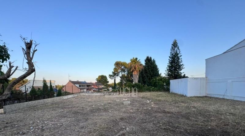 Cádiz - Paterna de Rivera - 634m2