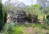 Country house with land for sale on España, el Perelló, ref: TR280786 photo