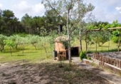 Country house with land for sale on España, el Perelló, ref: TR280786 photo
