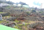 Casa de campo con terreno en venta en la España, Icod de los Vinos, ref: TR221174 foto
