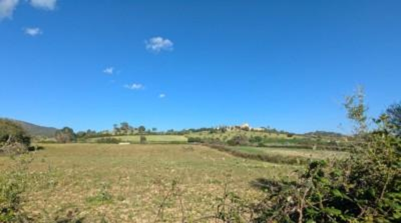 Балеарские острова - Sant Llorenç des Cardassar - 16100m2