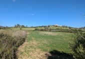 Terreno no urbanizable en venta en la España, Sant Llorenç des Cardassar, ref: TR405680 foto