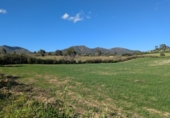 Terreno no urbanizable en venta en la España, Sant Llorenç des Cardassar, ref: TR405680 foto
