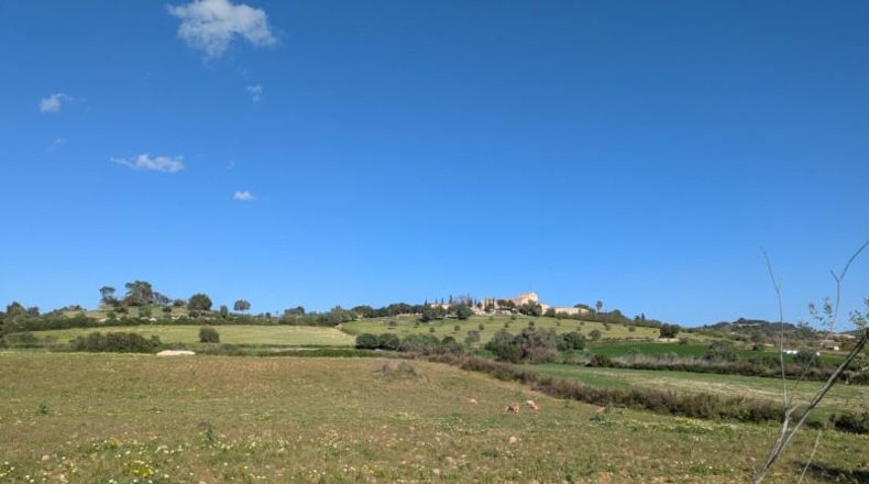 Балеарские острова - Sant Llorenç des Cardassar - 16100m2