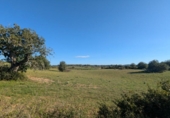 Terreno no urbanizable en venta en la España, Sant Llorenç des Cardassar, ref: TR405680 foto