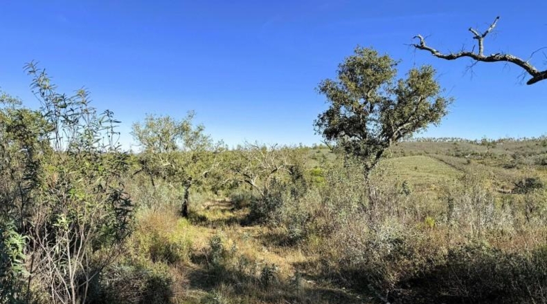 Segovia - Berrocal - 247704m2