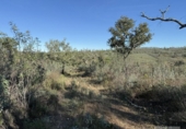 Terreno no urbanizable en venta en la España, Berrocal, ref: TR347703 foto
