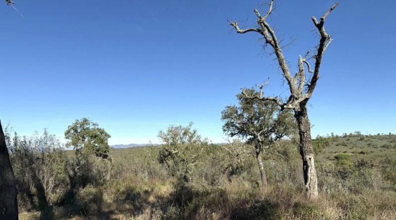 Segovia - Berrocal - 247704m2