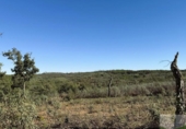Terreno no urbanizable en venta en la España, Berrocal, ref: TR347703 foto
