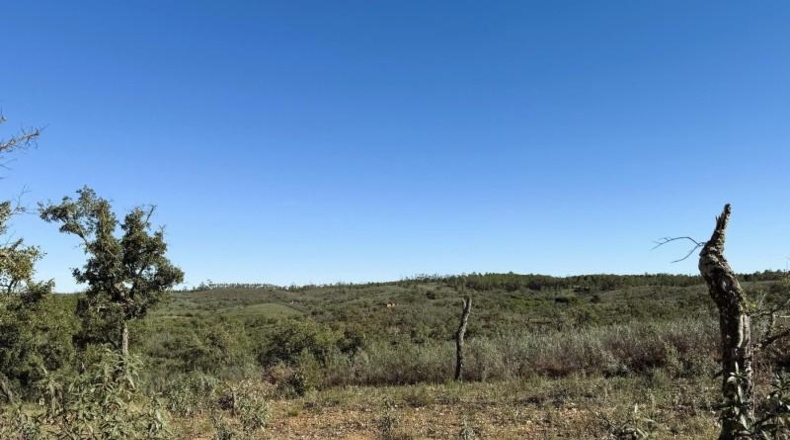 Segovia - Berrocal - 247704m2